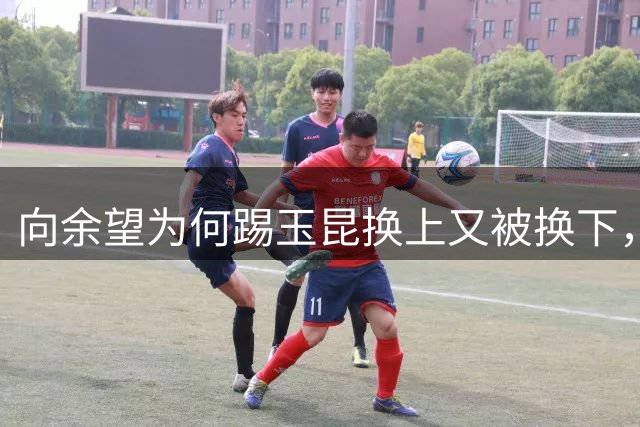 向余望为何踢玉昆换上又被换下，刘建业首次给出答案，引发热议